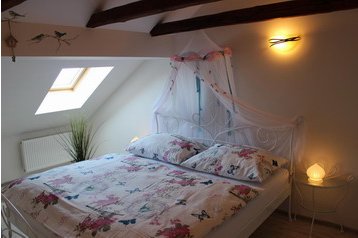 Viesu māja Mělník 9